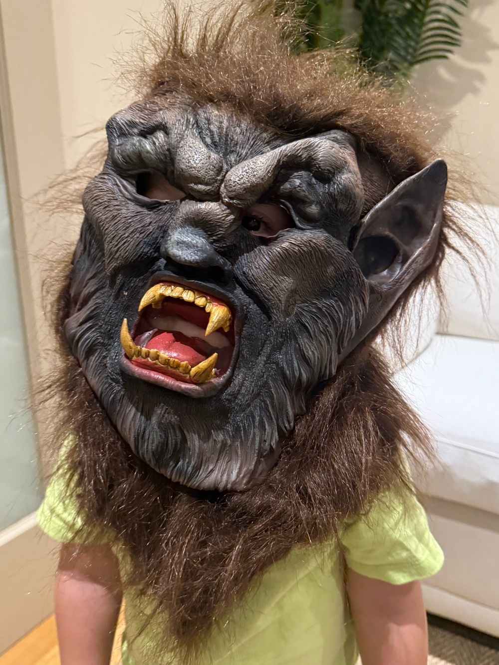Werewolf Mask Costume